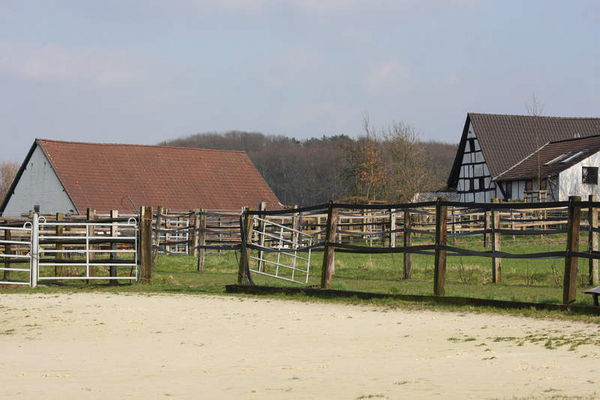 Weiden und Fütterung | Gut Unterweg